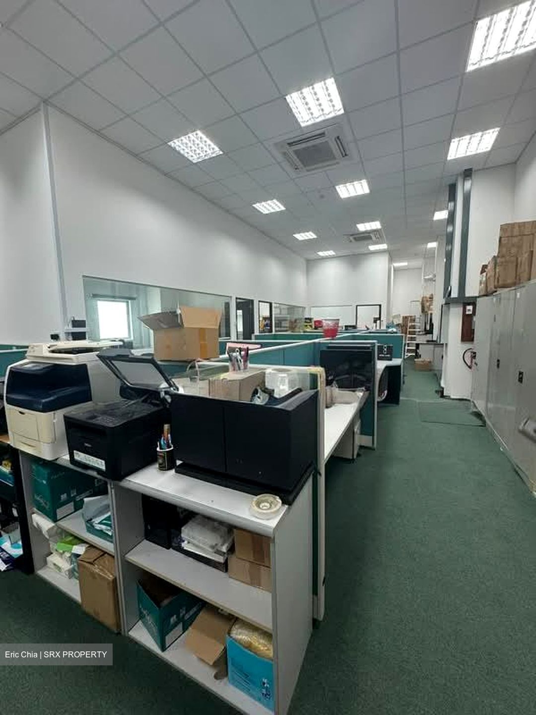 Serangoon North Avenue 4 (D19), Factory #625438271
